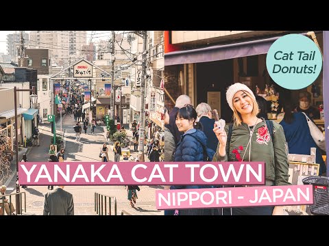 日本日暮裡神祕的柳中貓城，貓尾甜甜圈! (The Mysterious Yanaka Cat Town in Nippori, Japan with Cat Tail Donuts!)
