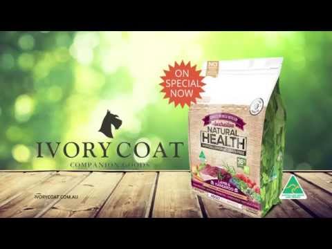 download lagu mp3 mp4 Best Wet Food For Dogs Australia, download lagu Best Wet Food For Dogs Australia gratis, unduh video klip Best Wet Food For Dogs Australia