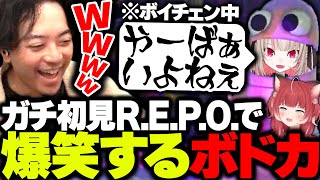 【神回】りりかるボドカで挑む初見R.E.P.O.が滅茶苦茶すぎて笑いが止まらなくなるボドカ【ボドカ/魔界ノりりむ/赤見かるび】