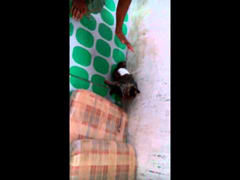 VID20140901114729.mp4