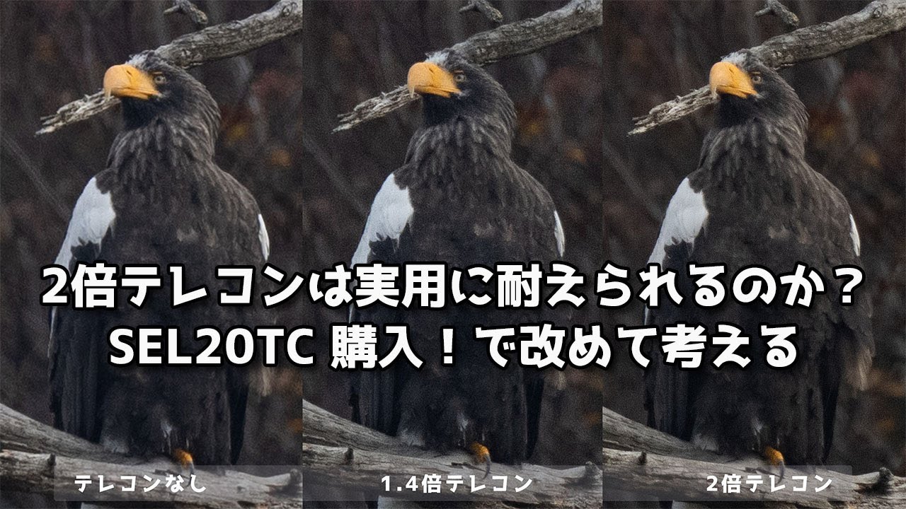 【検証実験】2倍のテレコンは実用に耐えられるのか？SONY SEL20TC購入で改めて考えてみる【比較】