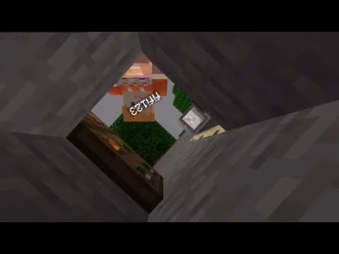 Minecraft - Ab ins End #10