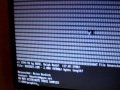 Remember DOS Virus