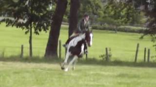 preview picture of video 'Reilly Keith show 09 Novice working Hunter & Championship'