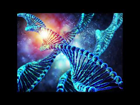 Martin Kremser - Myc