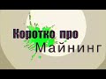 Вывод ETH через сеть Polygon на пуле Ezil, как установить выплату в сети Polygon?