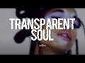 WILLOW T R A N S P A R E N T S O U L Clean Lyrics