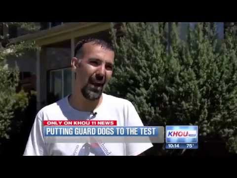 Testing Your Guard Dogs