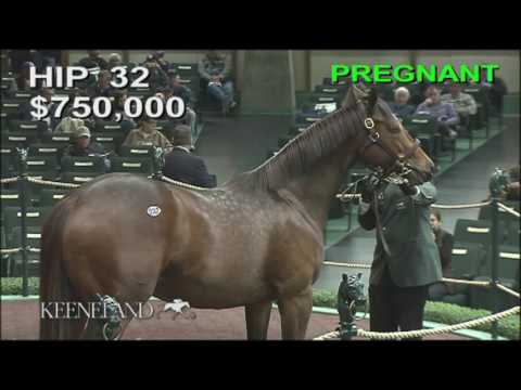 2016 November Sale – Hip 32, PEACE AND WAR brings $1.45 million