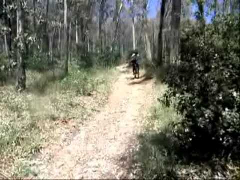 I BRUCIATI uscita MTB Piazza Armerina (bosco Bellia)