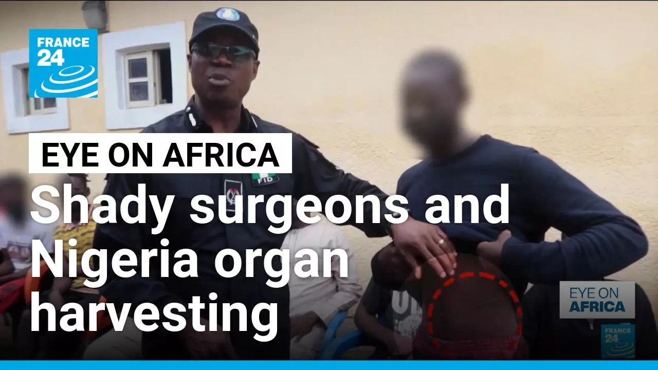 Shady surgeons and Nigeria organ harvesting • FRANCE 24 English