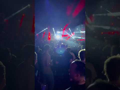 Maya Jane Coles elevating the atmosphere 🛸