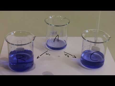 Was ist eigentlich... eine komplexe Reaktion? (Gleichgewichts-, Folge- & Parallelreaktion im Modell)