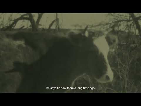 "Vampalaš" (2024, with eng subs)