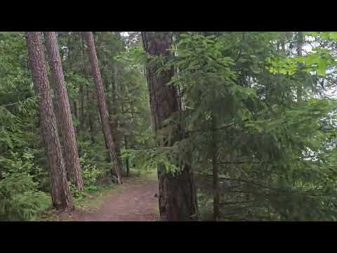 Lithuania vs. Kaliningrad: The border as part of the Suwałki Gap on Lake Vištytis.