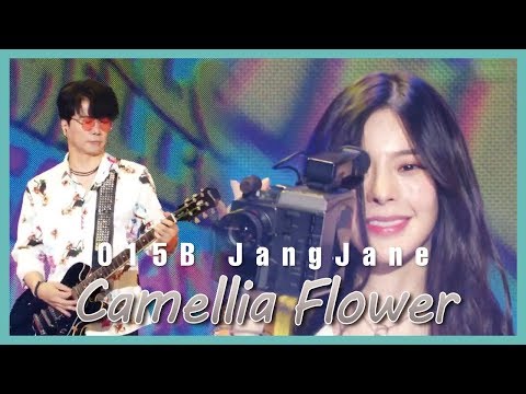 [Special Stage] 015B, JangJane - Camellia Flower,  015B, 장재인 - 동백꽃 show Music core 20190713