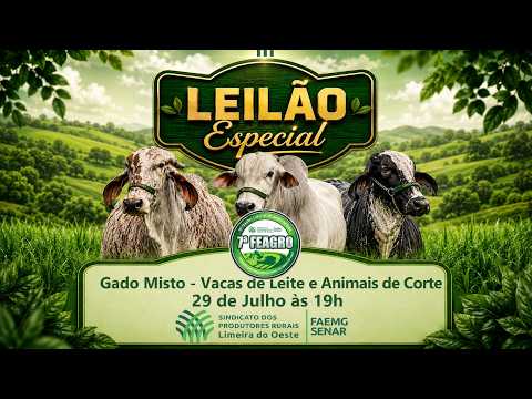 LEILÃO GADO MISTO, VACAS DE LEITE E ANIMAIS DE CORTE - SIND. DOS PROD. RURAIS DE LIMEIRA DO OESTE/MG
