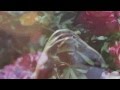 The Radio Dept. // This Past Week