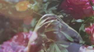 The Radio Dept. // This Past Week