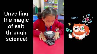 Exploring Science with Fun!