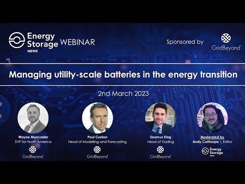 Managing utility-scale batteries in the energy transition