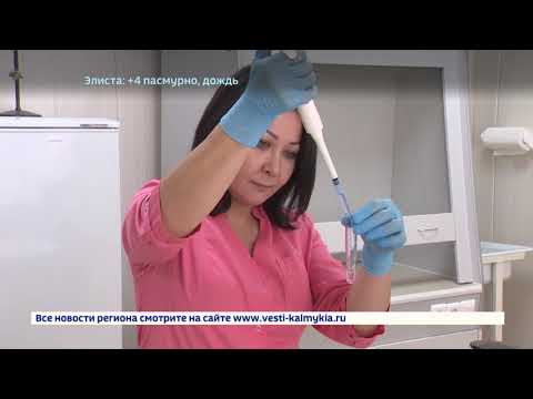 Россия 24 от 20.02.2020