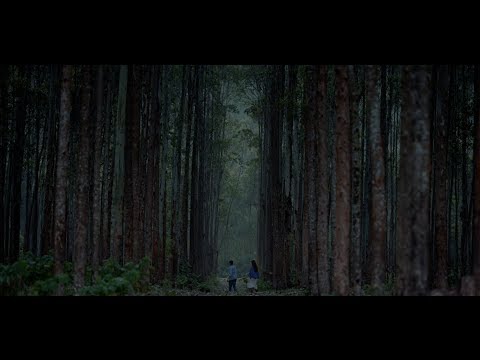 Cadbury Dairy Milk Silk #howfarwillyougoforlove