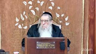 הרה"ג הרב וועכטר שליט"א ט"ו חשון תשפ"ו מאמר הרבי הריי"M (הרב אברהם מנחם מענדל וכטר) - התמונה מוצגת ישירות מתוך אתר האינטרנט יוטיוב. זכויות היוצרים בתמונה שייכות ליוצרה. קישור קרדיט למקור התוכן נמצא בתוך דף הסרטון הרה"ג הרב וועכטר שליט"א ט"ו חשון תשפ"ו מאמר הרבי הריי"M (הרב אברהם מנחם מענדל וכטר) - התמונה מוצגת ישירות מתוך אתר האינטרנט יוטיוב. זכויות היוצרים בתמונה שייכות ליוצרה. קישור קרדיט למקור התוכן נמצא בתוך דף הסרטון