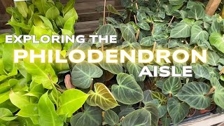 Philodendron Plant Aisle || 2025 The Plant Aisles Season 2 Episode 2