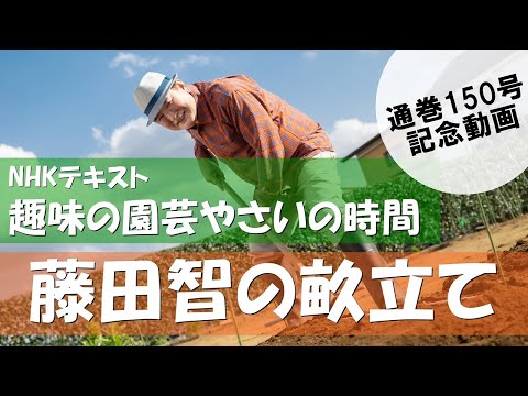 都市に菜園を作るにはどうすればよいですか？シンプルで簡単: 私たちのアドバイスに従ってください!  庭園
