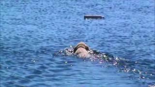 Sasha at 12 weeks Oliver Lake 2016