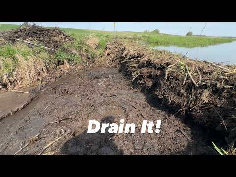 Beaver Dam Clogged Long Channel!
