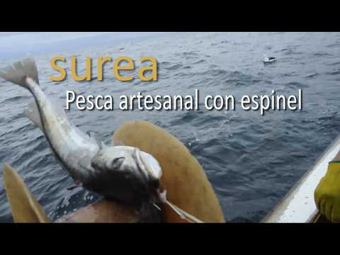 Pesca artesanal con espinel - mar patagonico