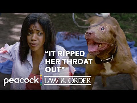 Deadly Dog Attack | S12 E01 | Law & Order