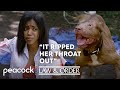 Deadly Dog Attack S12 E01 Law Order