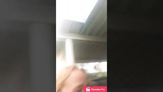 A day in the life at the Berman’s  February 26, 2019