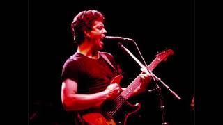 Lou Reed - We&#39;re Gonna Have A Real Good Time Together (Live)