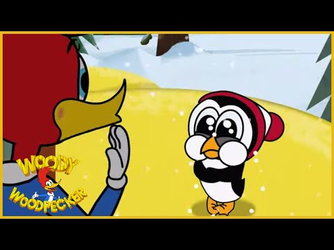 Woody Woodpecker | Baby It's Cold Inside | Full Episodes