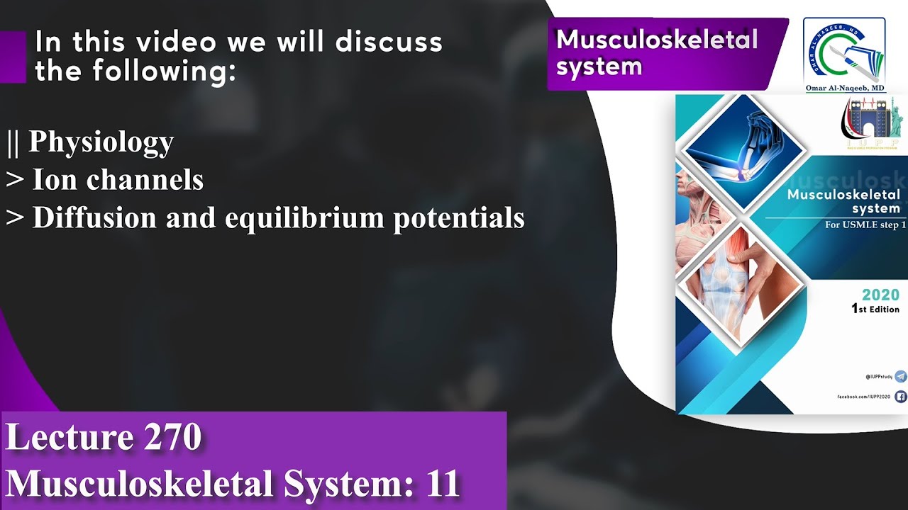 Ion channels | Diffusion and equilibrium potentials