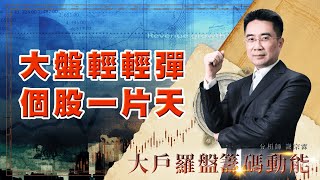 大盤輕輕彈 個股一片天 (圖)