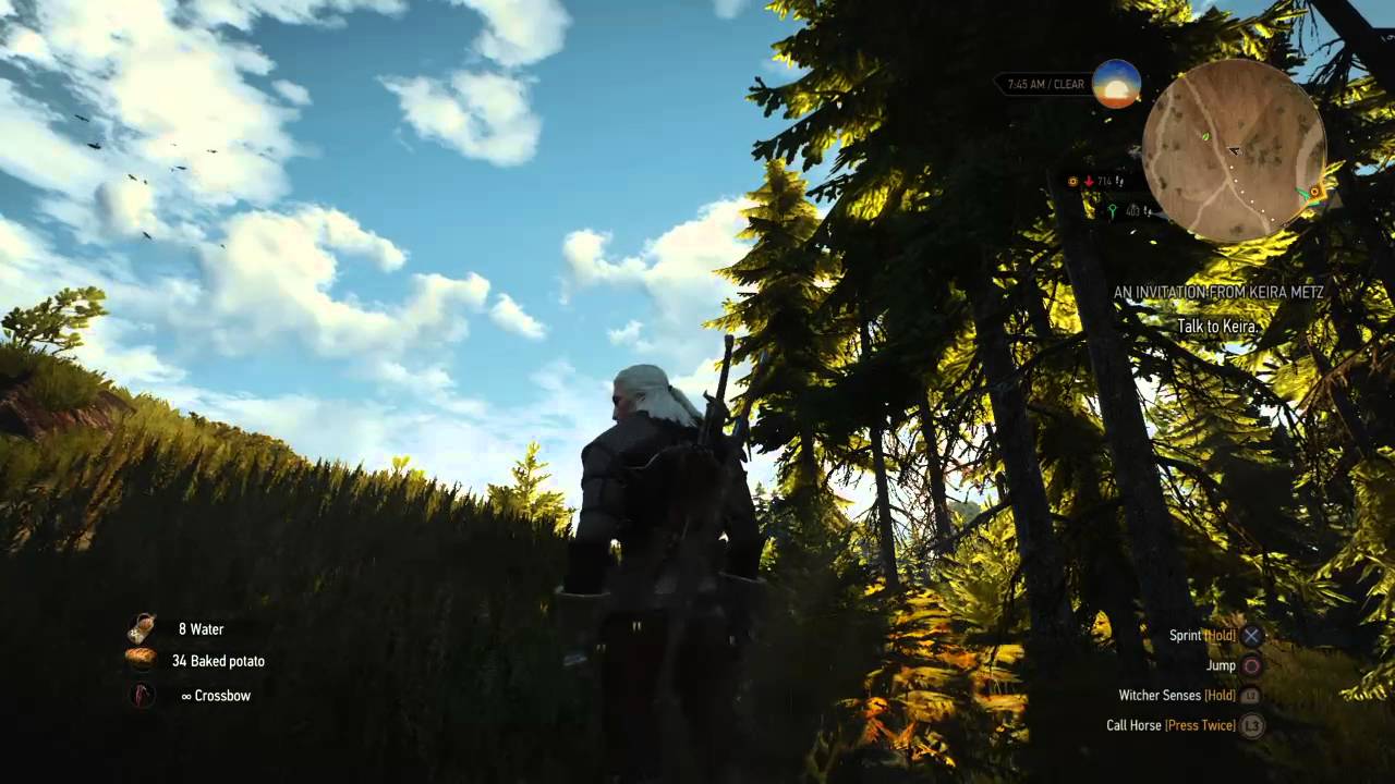 Witcher 3 nature scene: flocks of birds above shaded field - YouTube