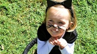 How to make a cute cat costume