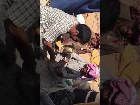 طرح الصقار ابوفارس هايل عايد الفهيقي ١٤٣٨