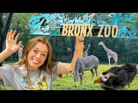 Exploring the Bronx Zoo (New York City) | HAVA MEDIA