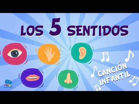 Los 5 sentidos | Canciones Educativas para Niños