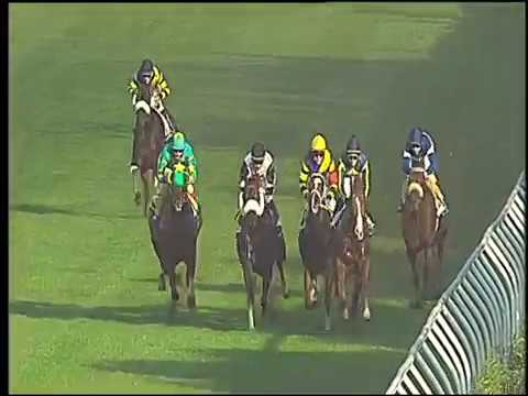 Galoppo 03/11/2016 - 2ª corsa