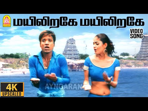 Mayiliragae - 4K Video Song | மயிலிறகே..! | Anbe Aaruyire | SJ Suryah | Nila | A.R.Rahman | Ayngaran