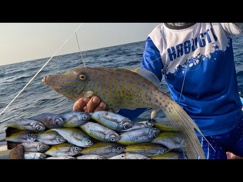 vlog401- Buenas | Surahan at Silay catch and cook Part 2