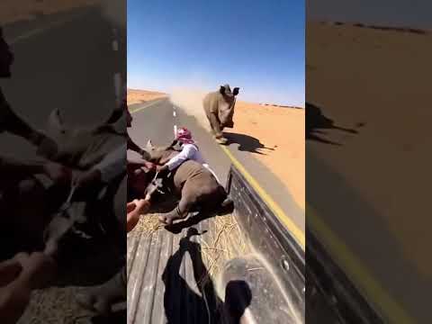 لحقتهم وضحت بحياتها مشان ابنها !💔💔