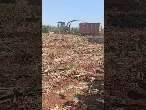 SILO SAN GABRIEL #suchitepéquez